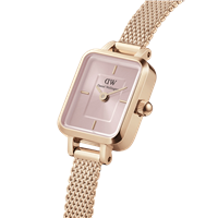 Orologio Daniel Wellington Donna QUADRO MINI EVERGOLD BLUSH in Acciaio DW00100650 - DW00100650